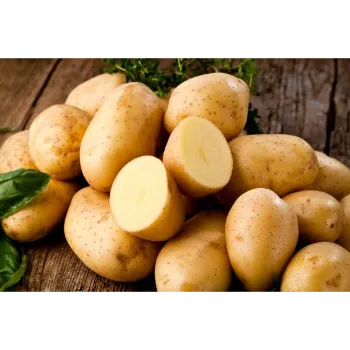 Natural Potato 
